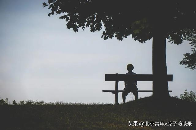 花生壳盒子(花生壳盒子使用教程)